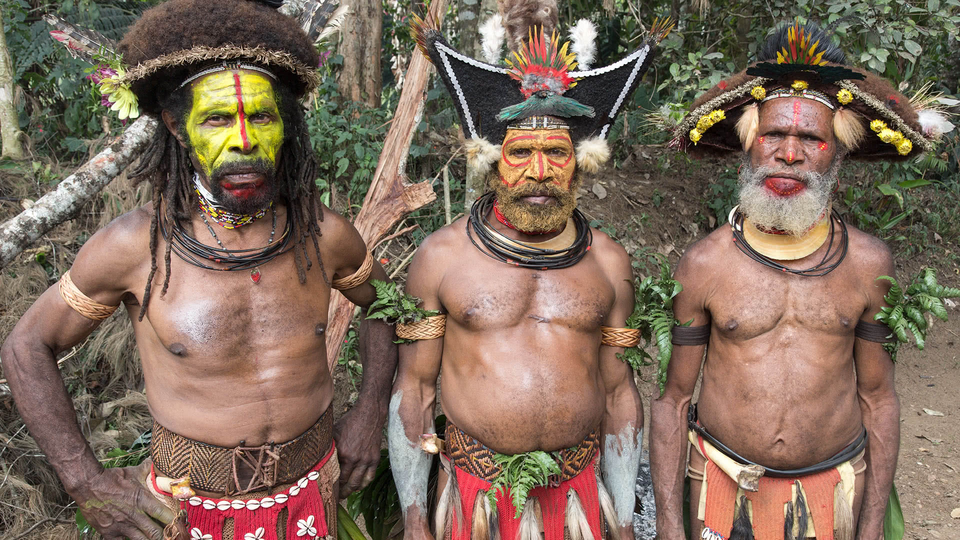 Interesting cultures. Папуа — новая Гвинея. День независимости Папуа новая Гвинея. Traditional Tribal show of Papua New Guinea East Highlands.