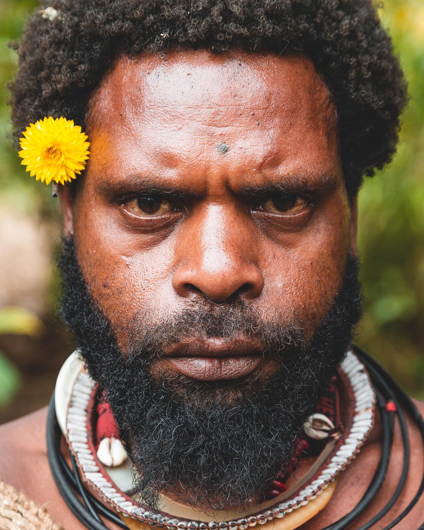 I think the flower makes this Huli wigman in Papua New Guinea look a little less intimidating.