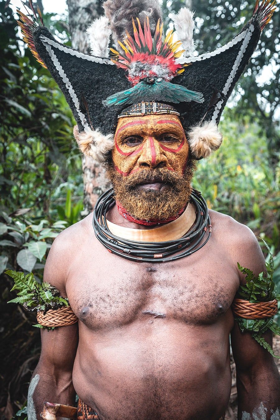 Huli Wigman, Tari, Papua New Guinea.