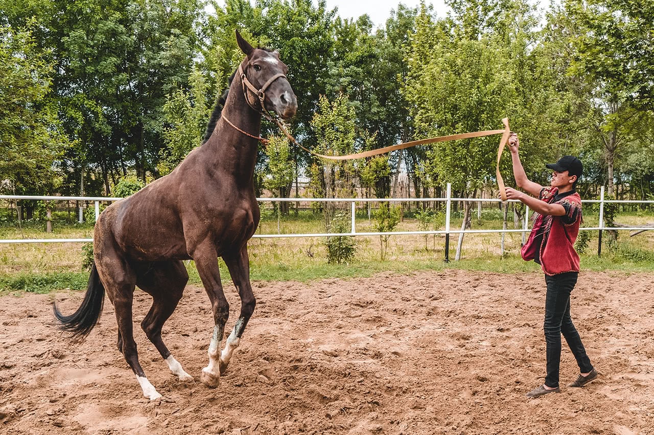 Training an Akhalteke Horse outside of Ashgabat.