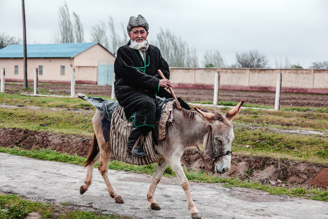 An old man traveling by donkey near Qarshi, Uzbekistan.