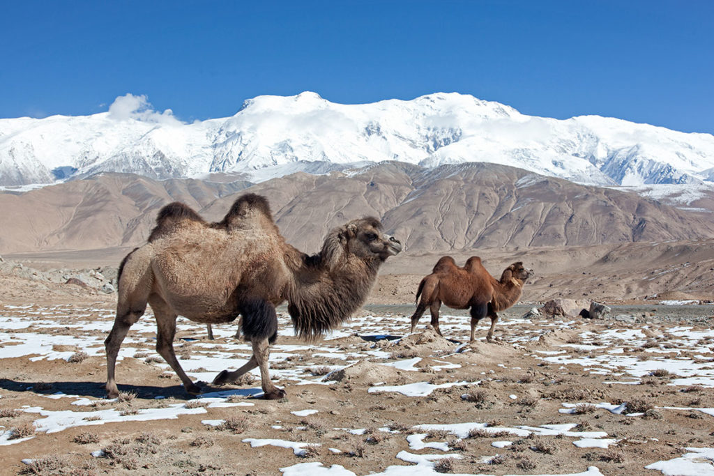 Incredible Karakul Lake: Adventures On The Karakoram Highway - Jay Tindall