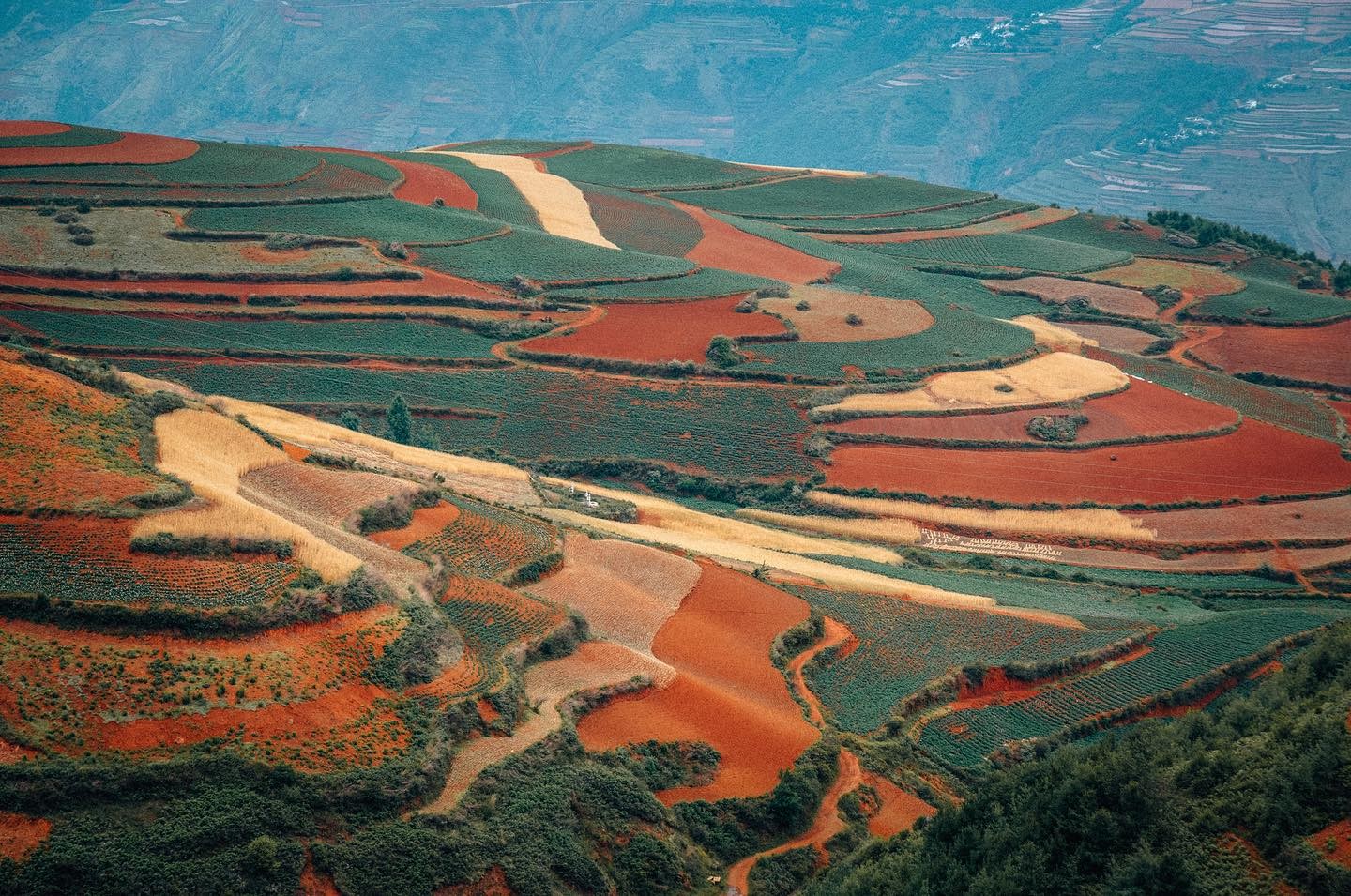 Beautiful fields known as the “red lands” in Donchuan, China.